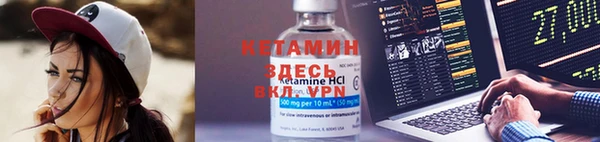 шишки Вязники