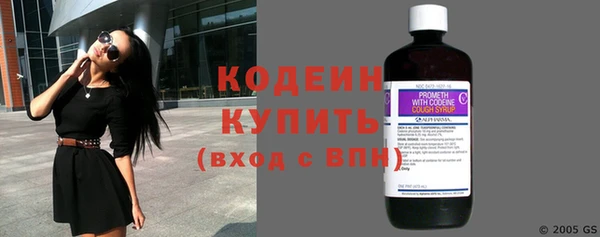 шишки Вязники