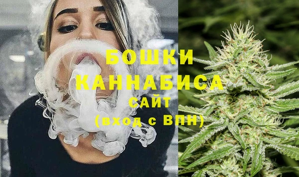шишки Вязники