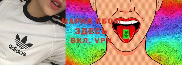 шишки Вязники