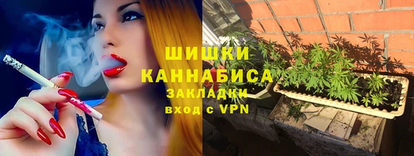 шишки Вязники