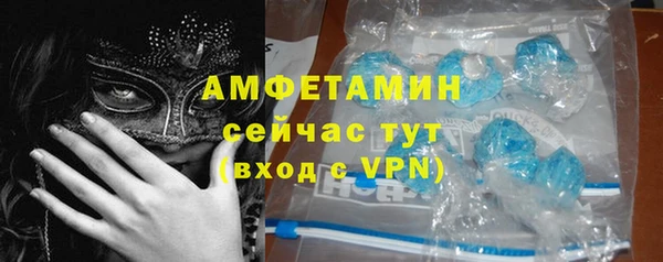 шишки Вязники
