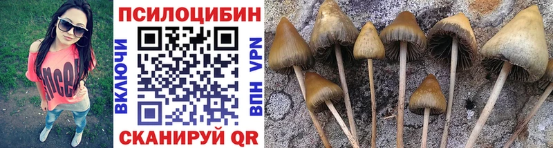 Псилоцибиновые грибы мицелий  Дмитров 