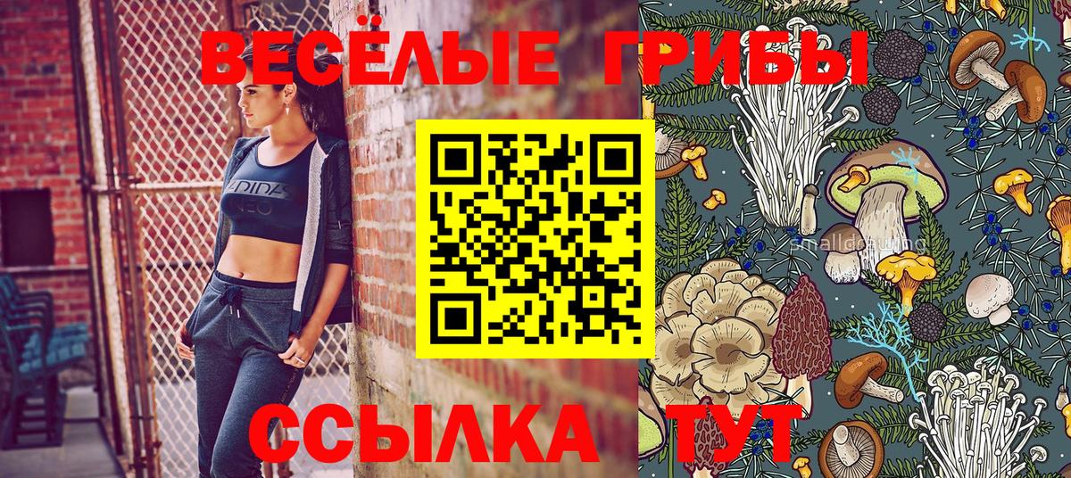 Псилоцибиновые грибы ЛСД Дмитров